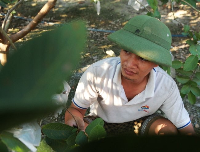 Ca sĩ Le Roi phải tra no lai may chuc trieu mõi tháng-Hinh-3